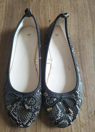 Жіноч нові балетки