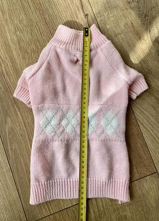 Светр для собаки