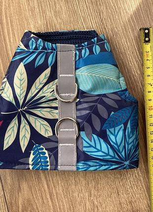 Нашийник для тварин