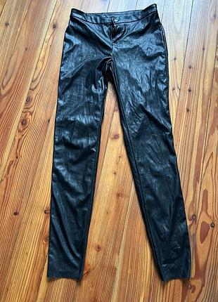 Легінси жіночі