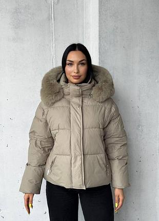 Зимова куртка | gl. 006