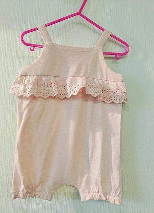 Пісочник літній