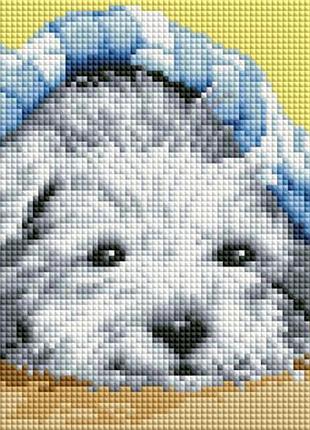 Алмазная мозаика colorart 20х30 собачка dt701