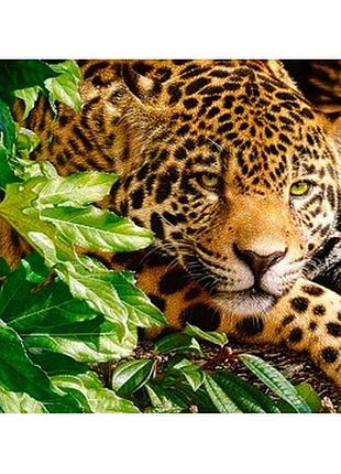 Алмазная вышивка colorart 30х40см ягуар st436