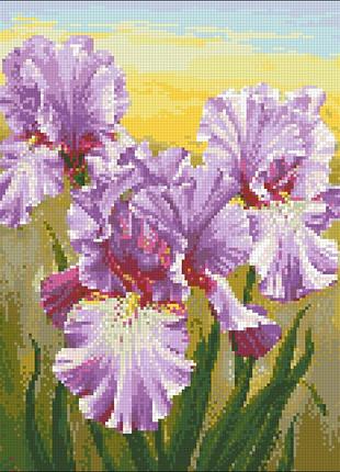 Набір алмазної мозаїки 30х40 іриси амс-125