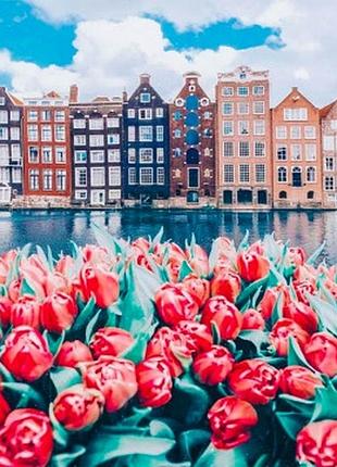 Алмазная мозаика colorart город в тюльпанах 40х50 sp098