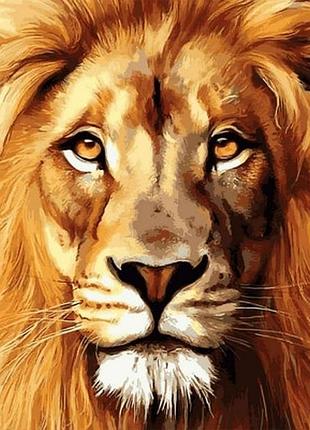 Алмазная мозаика colorart лев 30х40 st471