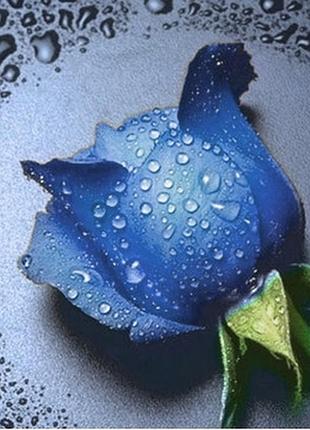 Набір для алмазної мозаїки colorart 30х30см троянда синя tt600