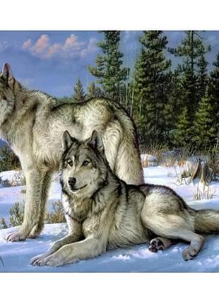 Набор алмазной мозаики colorart 40х50 волки на снегу sp007
