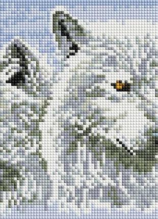 Набір алмазної мозаїки colorart 20х30 пара вовків dt715