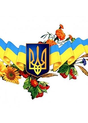 Набор алмазной вышивки colorart символы украины 30х40 st472