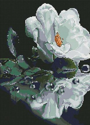 Алмазная мозаика colorart 40х50 белая роза sp123