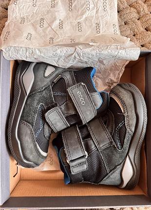 Чобітки (черевики) зимові ecco для хлопчика