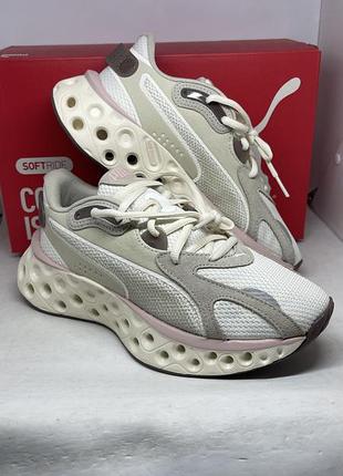 Кросівки жіночі ( оригінал) puma softride frequence wns 310556 07.