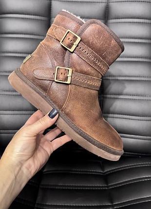 Жіночі уггі ремінці оригінал, сапоги ugg , коричневые угги оригинал