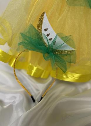 Костюм диня , костюм дині 3