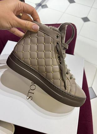 Жіночі ботинки stokton sale