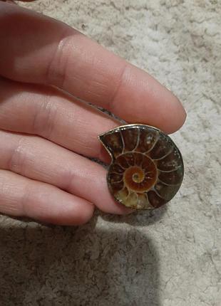 Кольцо с амонитом