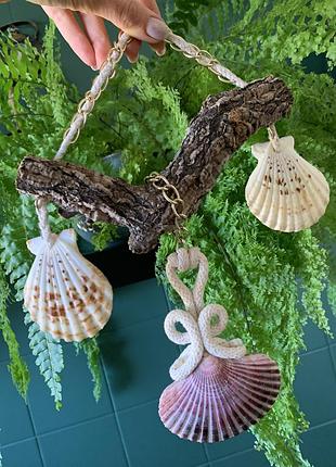 Декор настенный, панно с ракушками гребешки (pectinidae)