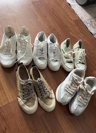 Кросівки кеди zara mango reserved