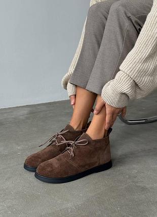 Ботинки женские коричневые замша / замшевые ботинки цвета тоффи на шнуровке / коричневые ботинки на шнуровке демисезон