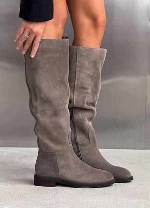 Демисезонные сапоги