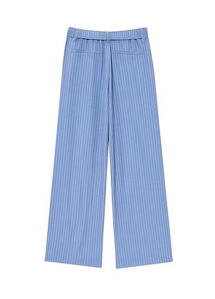 Брюки в синю смужку жіночі