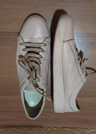 Кожаные туфли soldi