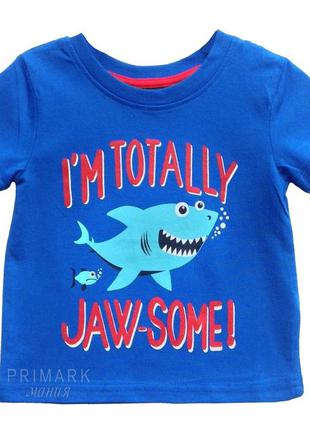 Футболка для хлопчика (9-18 міс) primark