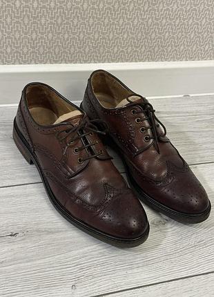 Туфлі броги чоловічі коричневі massimo dutti 42 р. з натуральної шкіри