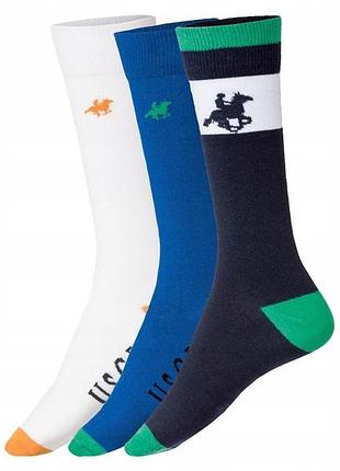 Набір чоловічих шкарпеток grand polo