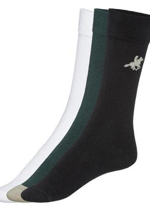 Набір чоловічих шкарпеток grand polo