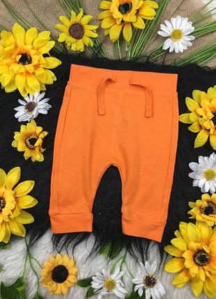 Помаранчеві штанішки на 0-3 міс