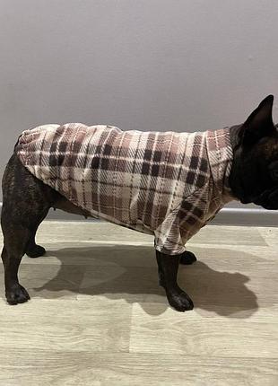 Лесной комбинезончик 🐶
