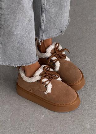 Сноубутсы на шнуровке с мехом teddy
цвет: рыжий | орех, натуральная замша
