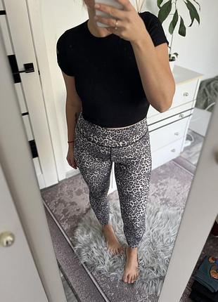 Леопардові лосини з кишенькою