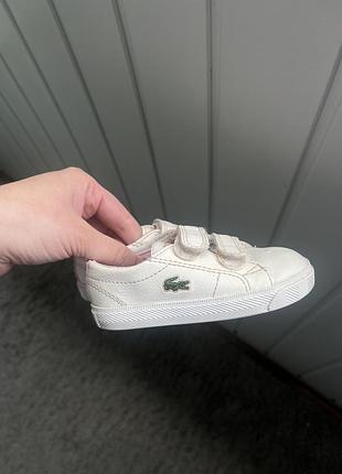Кросівки lacoste