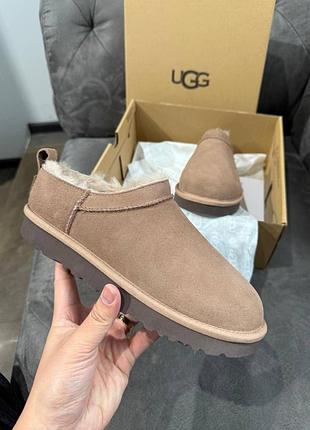 Ugg classic micro темно бежева замша.