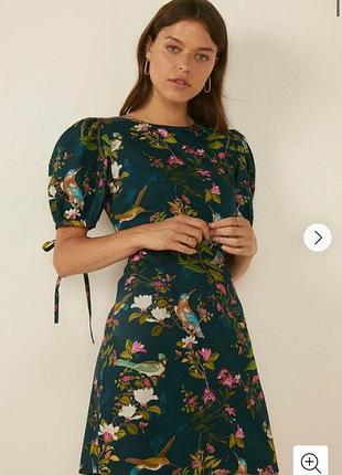 Сукня від oasis із завʼязками на рукавах та пташками