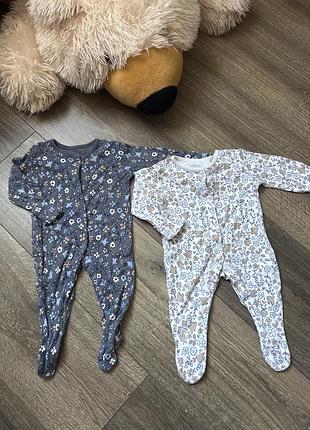 Набір бодіків