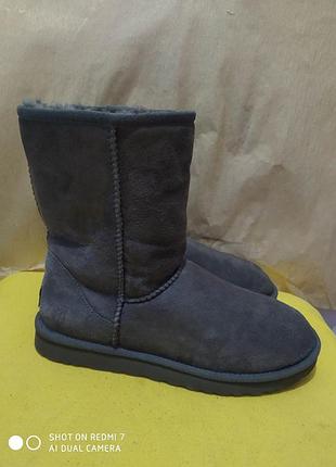 Шкіряні чобітки уггі ugg
