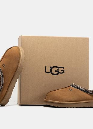 Натуральні жіночі уггі капці ugg tasman