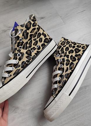 Трендовые леопардовые кеды