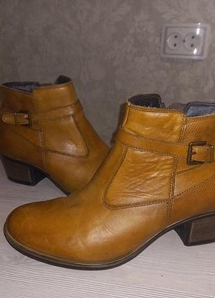 Ботинки казаки коньячного цвета