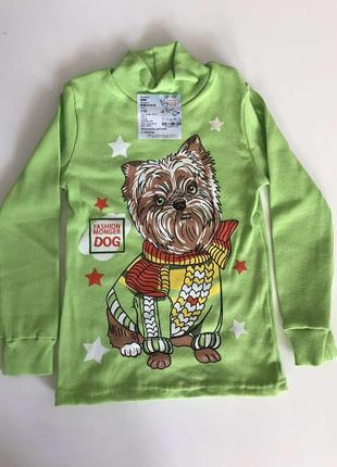 Водолазка - гольф