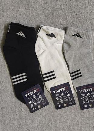 Набор носков