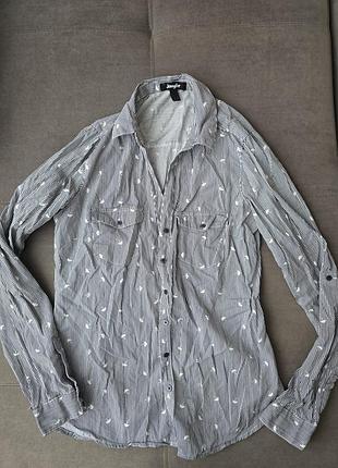 Класична жіноча сорочка