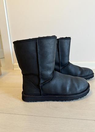 Ugg australia оригінал чоботи зимові з натуральної овчини