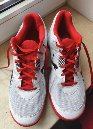 Оригинальные кроссовки puma 2