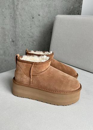 U.S. Polo Assn